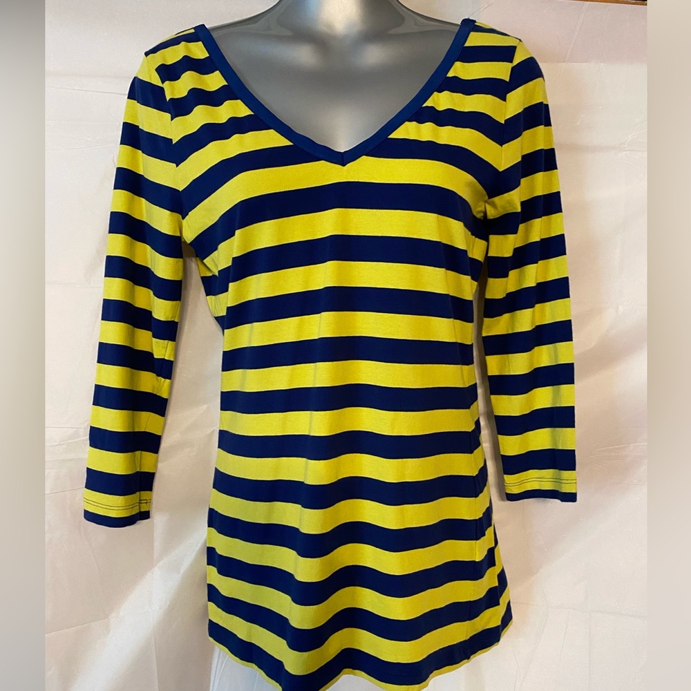 Banana Republic Green and Navy Striped V Neck